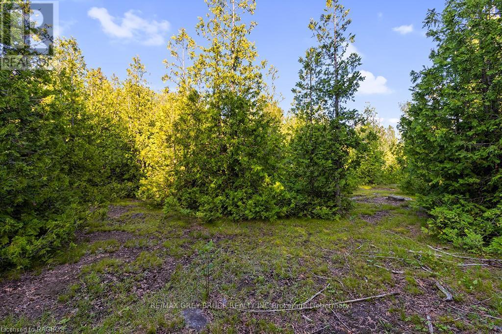 Pt 9/10 Highway 6, Northern Bruce Peninsula, Ontario N0H 1Z0 - Photo 32 - X10848768