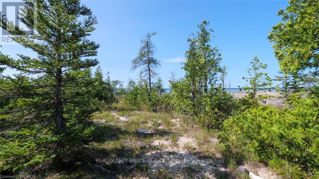 82 Bradley Drive, Northern Bruce Peninsula, Ontario N0H 1Z0 - Photo 34 - X10848957