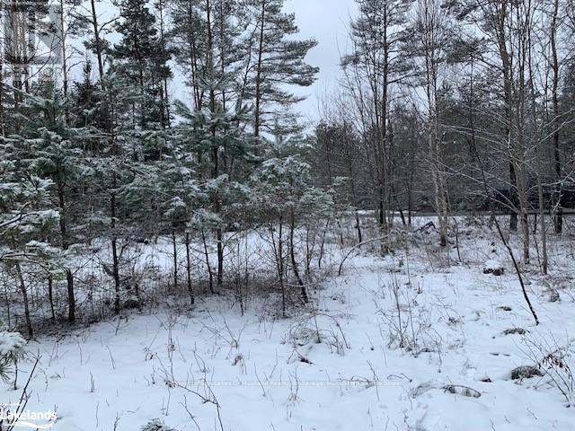 147 So Ho Mish Road, Perry, Ontario  P0A 1L0 - Photo 11 - X10894604