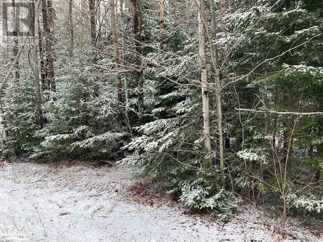 147 So Ho Mish Road, Perry, Ontario  P0A 1L0 - Photo 14 - X10894604
