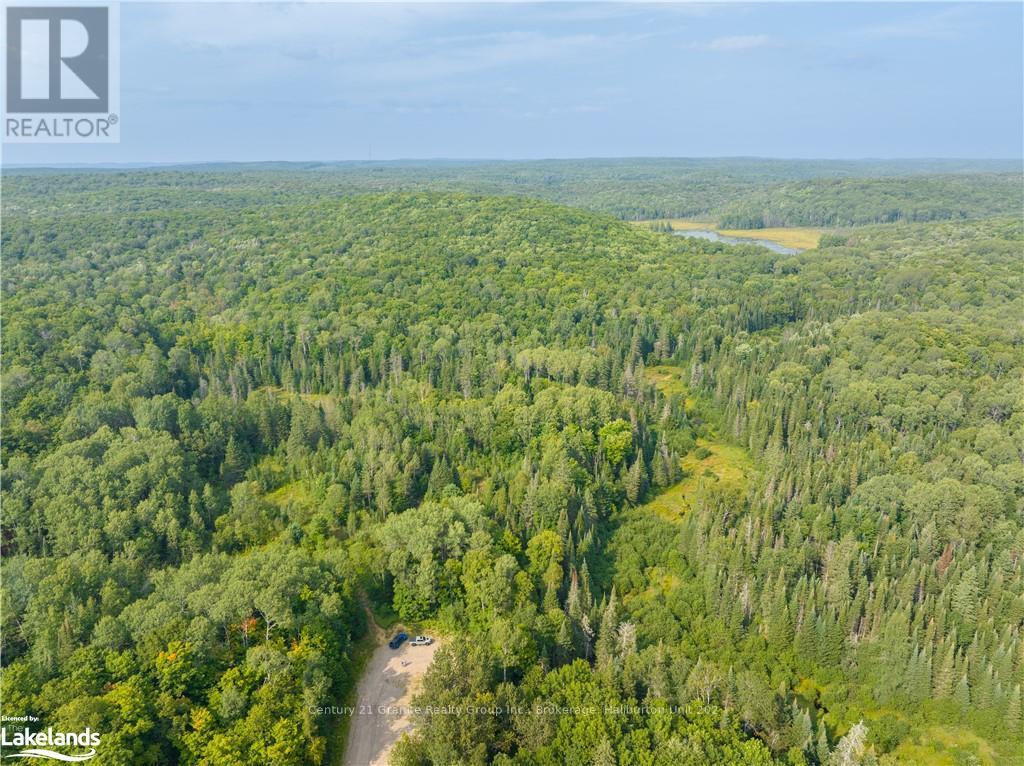 Lot 6-10 Moon Road, Dysart Et Al, Ontario  K0M 1S0 - Photo 11 - X10894743