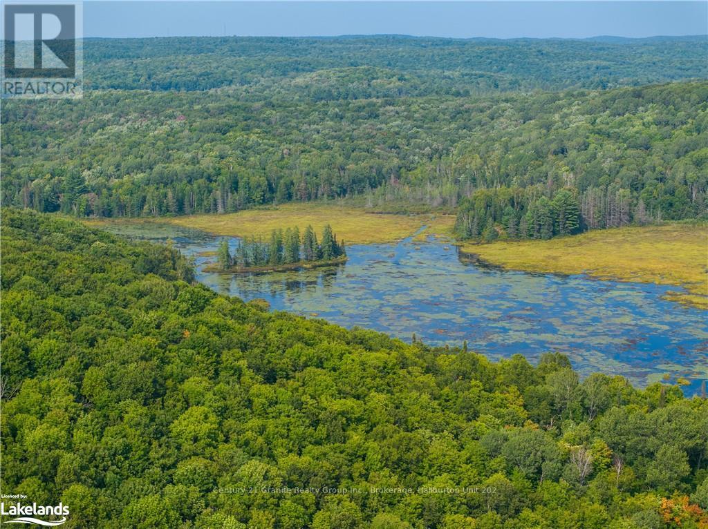 Lot 6-10 Moon Road, Dysart Et Al, Ontario  K0M 1S0 - Photo 13 - X10894743
