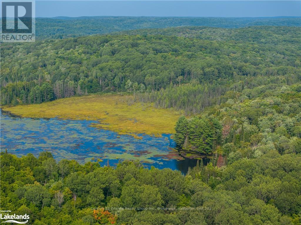 Lot 6-10 Moon Road, Dysart Et Al, Ontario  K0M 1S0 - Photo 14 - X10894743