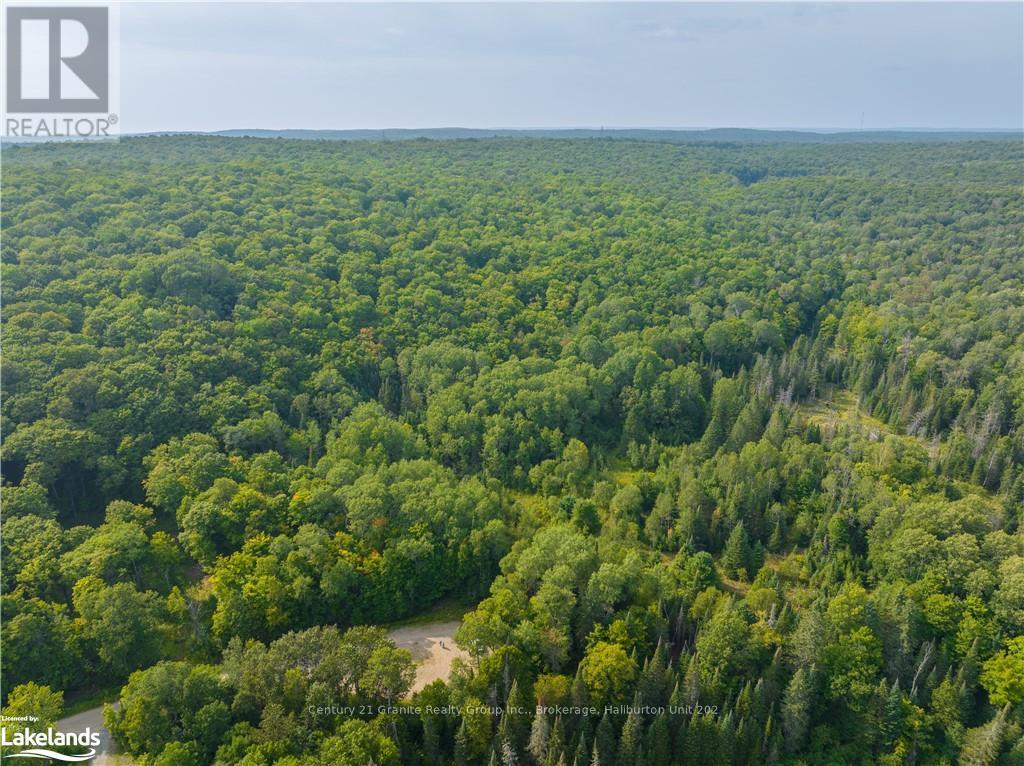 Lot 6-10 Moon Road, Dysart Et Al, Ontario  K0M 1S0 - Photo 19 - X10894743