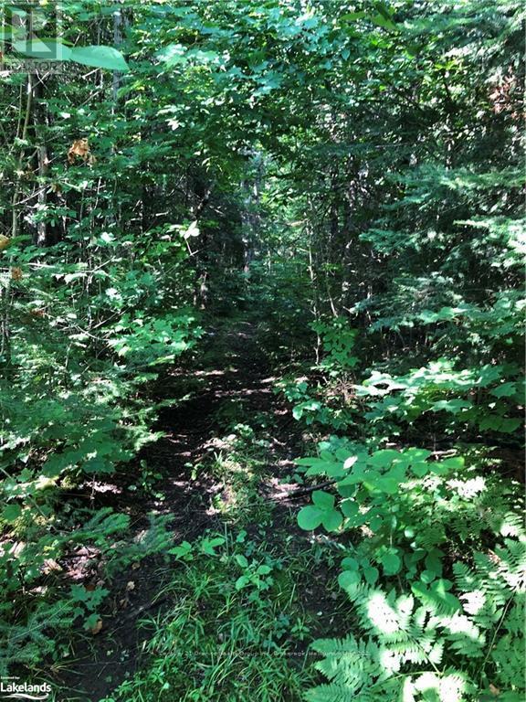 Lot 6-10 Moon Road, Dysart Et Al, Ontario  K0M 1S0 - Photo 5 - X10894743
