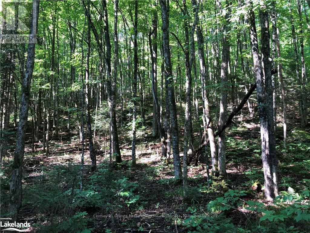 Lot 6-10 Moon Road, Dysart Et Al, Ontario  K0M 1S0 - Photo 6 - X10894743