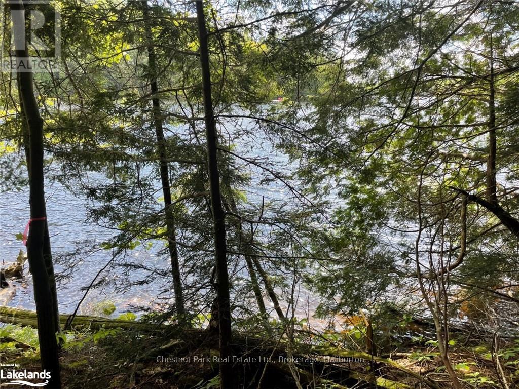 0 Minnow Drive, Dysart Et Al, Ontario  K0M 1S0 - Photo 4 - X10894776