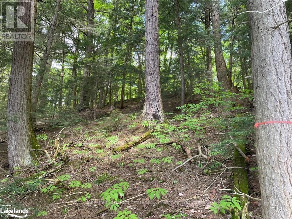 0 Minnow Drive, Dysart Et Al, Ontario  K0M 1S0 - Photo 6 - X10894776