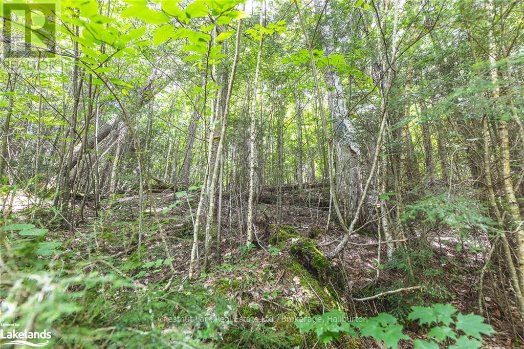 0 Minnow Drive, Dysart Et Al, Ontario  K0M 1S0 - Photo 7 - X10894776