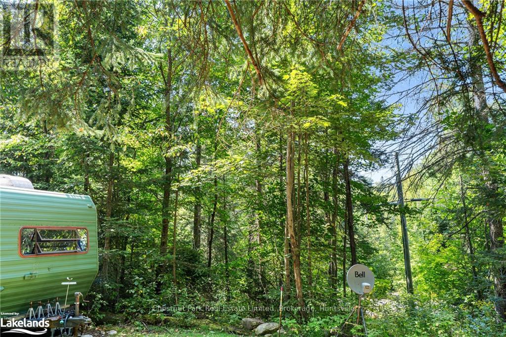 580 Echo Ridge Road, Kearney, Ontario  P0A 1M0 - Photo 39 - X10894862