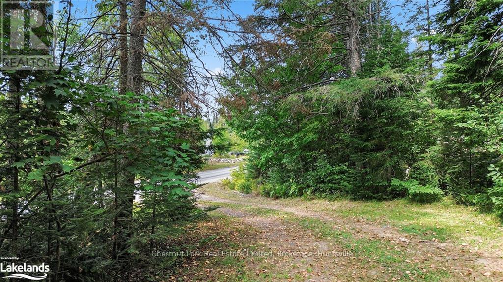 580 Echo Ridge Road, Kearney, Ontario  P0A 1M0 - Photo 5 - X10894862