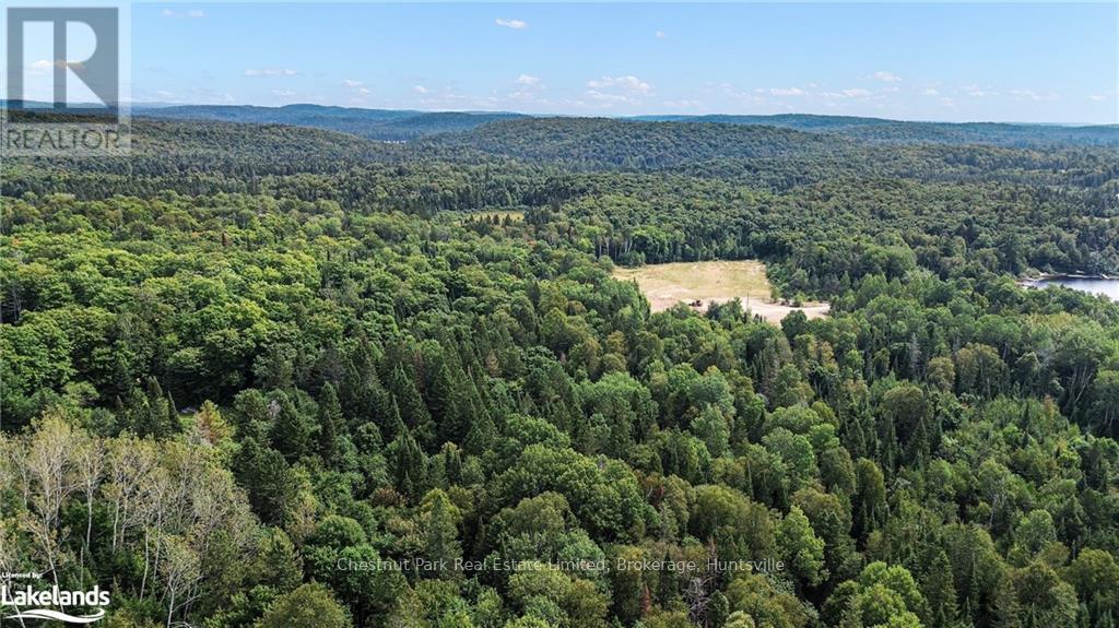 580 Echo Ridge Road, Kearney, Ontario  P0A 1M0 - Photo 7 - X10894862