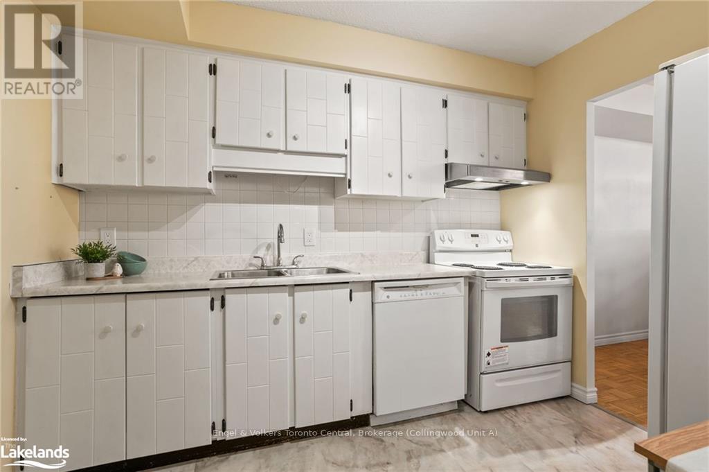 101 - 860 9th Street E, Owen Sound, Ontario  N4K 1R2 - Photo 12 - X10895132