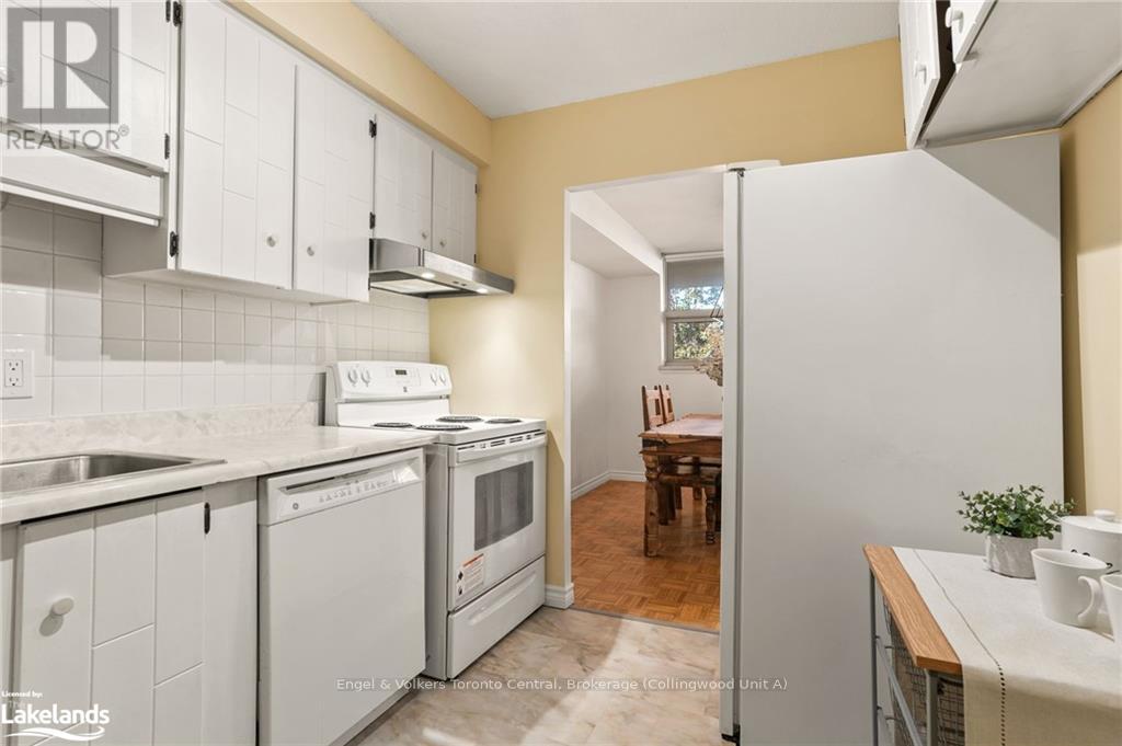 101 - 860 9th Street E, Owen Sound, Ontario  N4K 1R2 - Photo 13 - X10895132