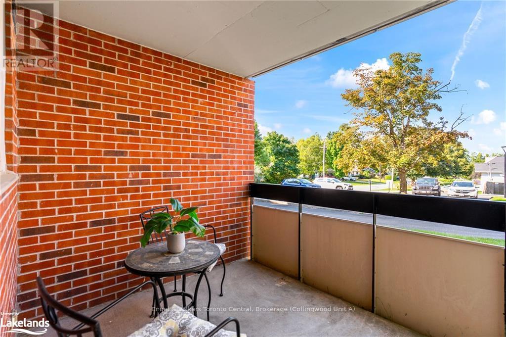 101 - 860 9th Street E, Owen Sound, Ontario  N4K 1R2 - Photo 20 - X10895132