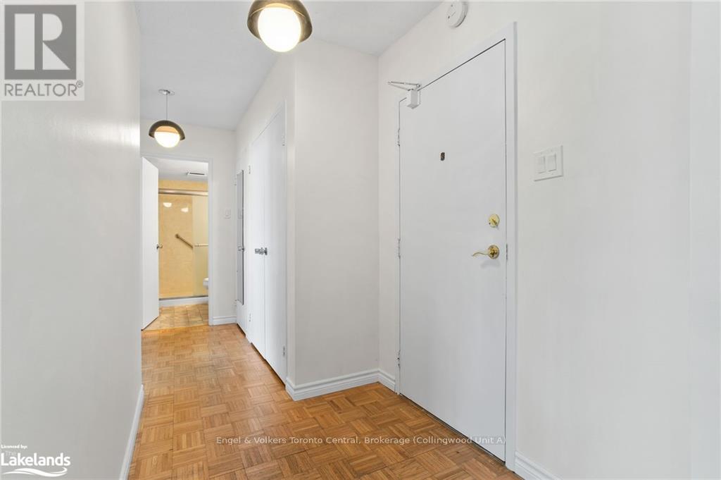 101 - 860 9th Street E, Owen Sound, Ontario  N4K 1R2 - Photo 3 - X10895132