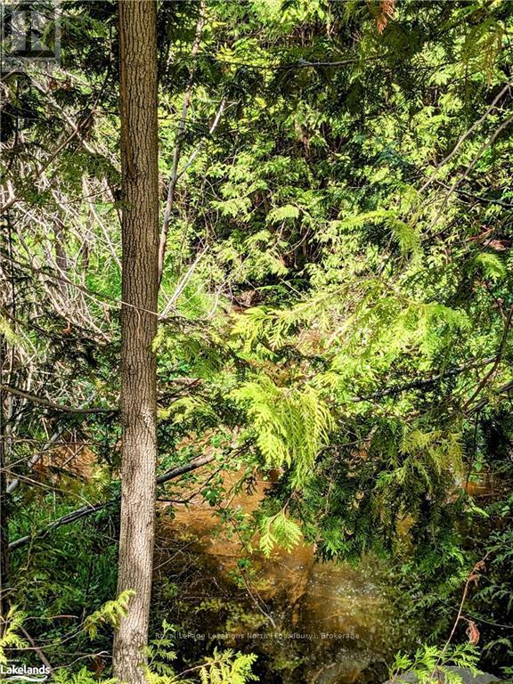 208658 Highway 26, Blue Mountains (Blue Mountain Resort Area), Ontario  N0H 1J0 - Photo 10 - X10895152