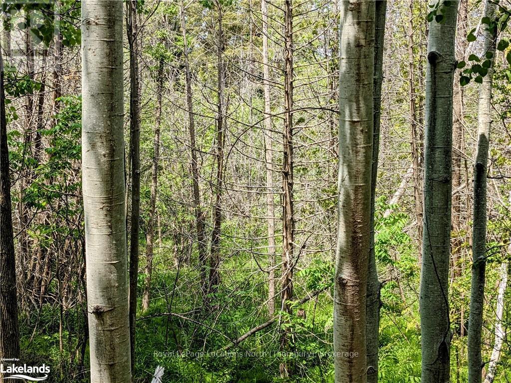 208658 Highway 26, Blue Mountains (Blue Mountain Resort Area), Ontario  N0H 1J0 - Photo 11 - X10895152