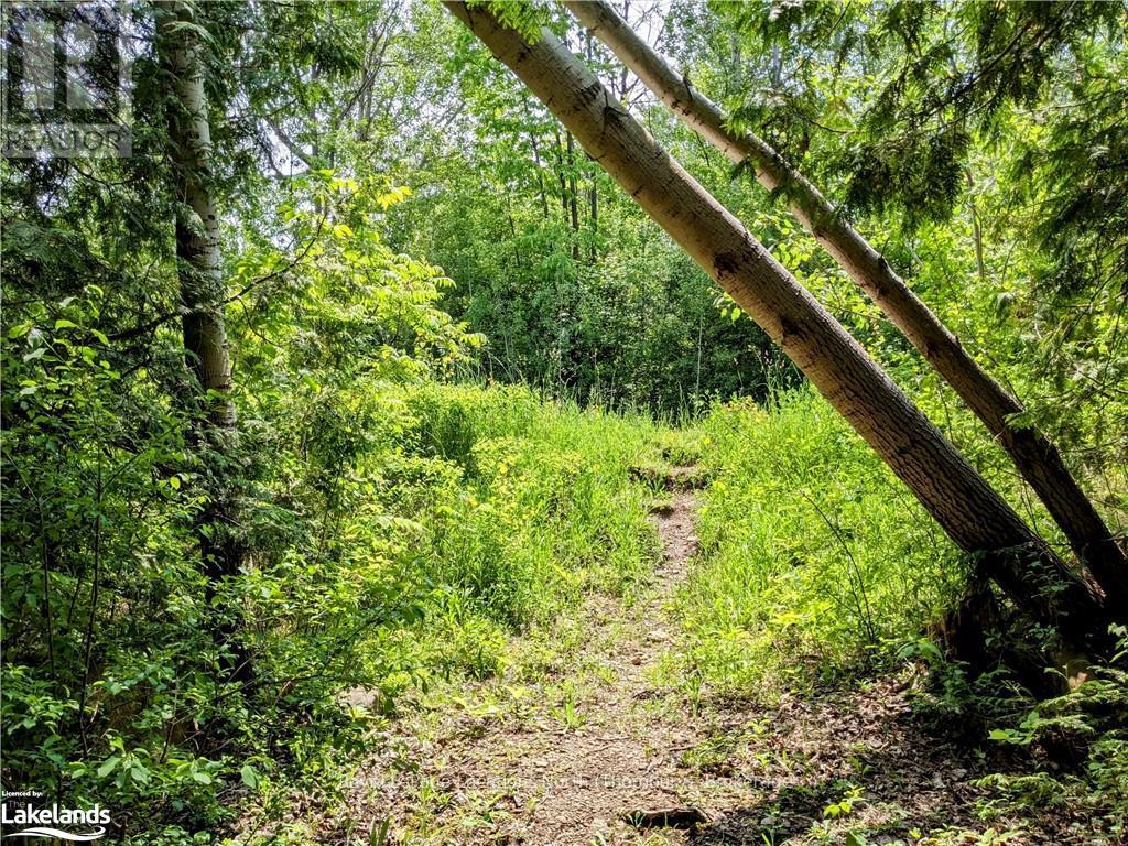 208658 Highway 26, Blue Mountains (Blue Mountain Resort Area), Ontario  N0H 1J0 - Photo 7 - X10895152