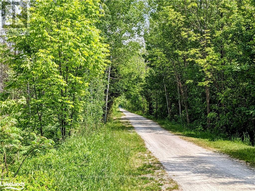 208658 Highway 26, Blue Mountains (Blue Mountain Resort Area), Ontario  N0H 1J0 - Photo 8 - X10895152