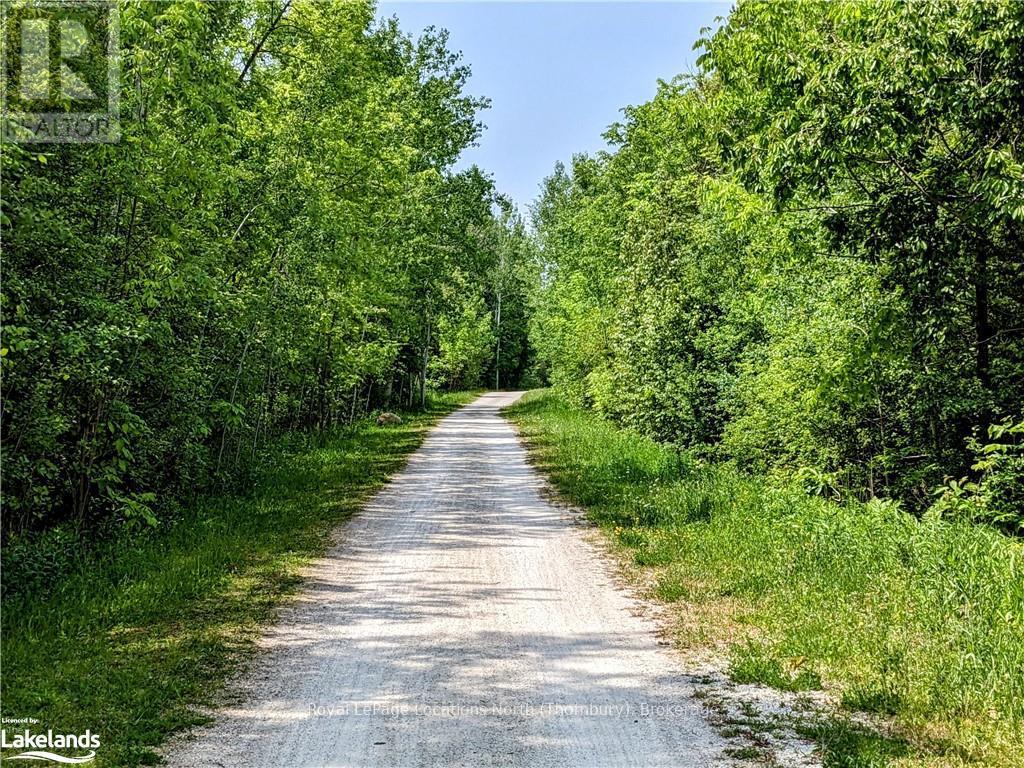 208658 Highway 26, Blue Mountains (Blue Mountain Resort Area), Ontario  N0H 1J0 - Photo 9 - X10895152