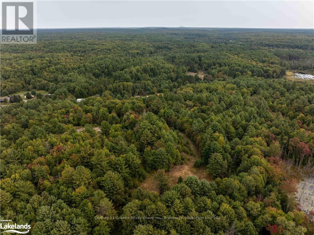 4729 County Road 121, Minden Hills, Ontario  K0M 2K0 - Photo 10 - X10895179