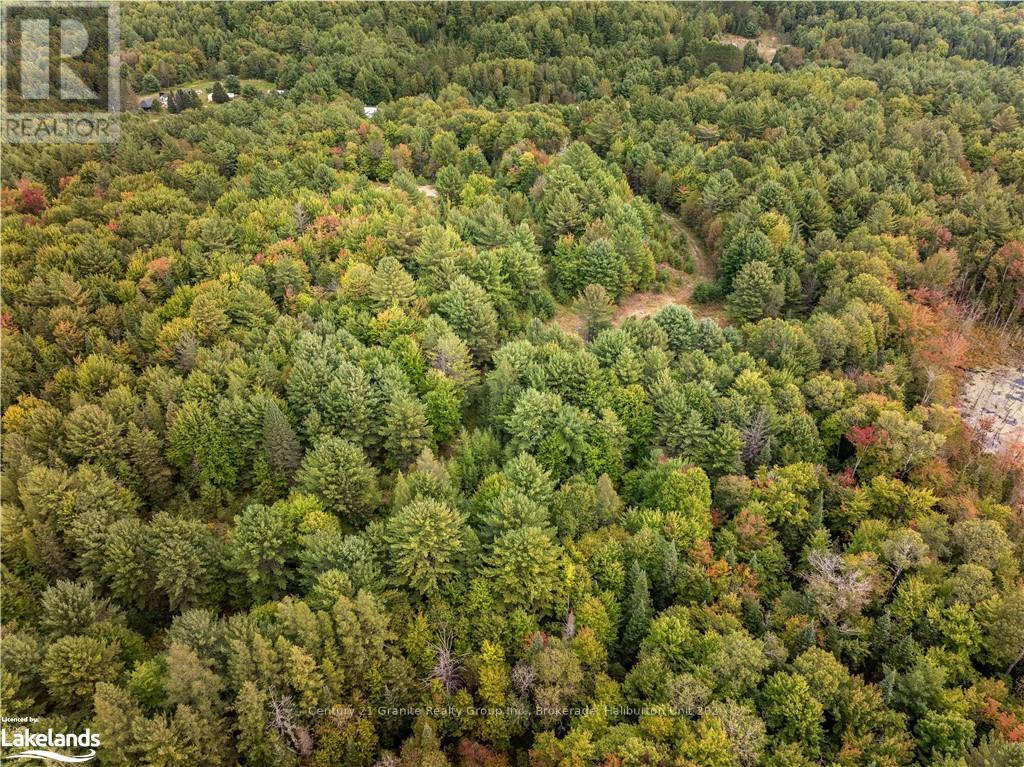 4729 County Road 121, Minden Hills, Ontario  K0M 2K0 - Photo 11 - X10895179