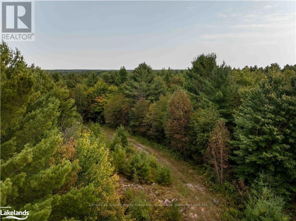4729 County Road 121, Minden Hills, Ontario  K0M 2K0 - Photo 12 - X10895179