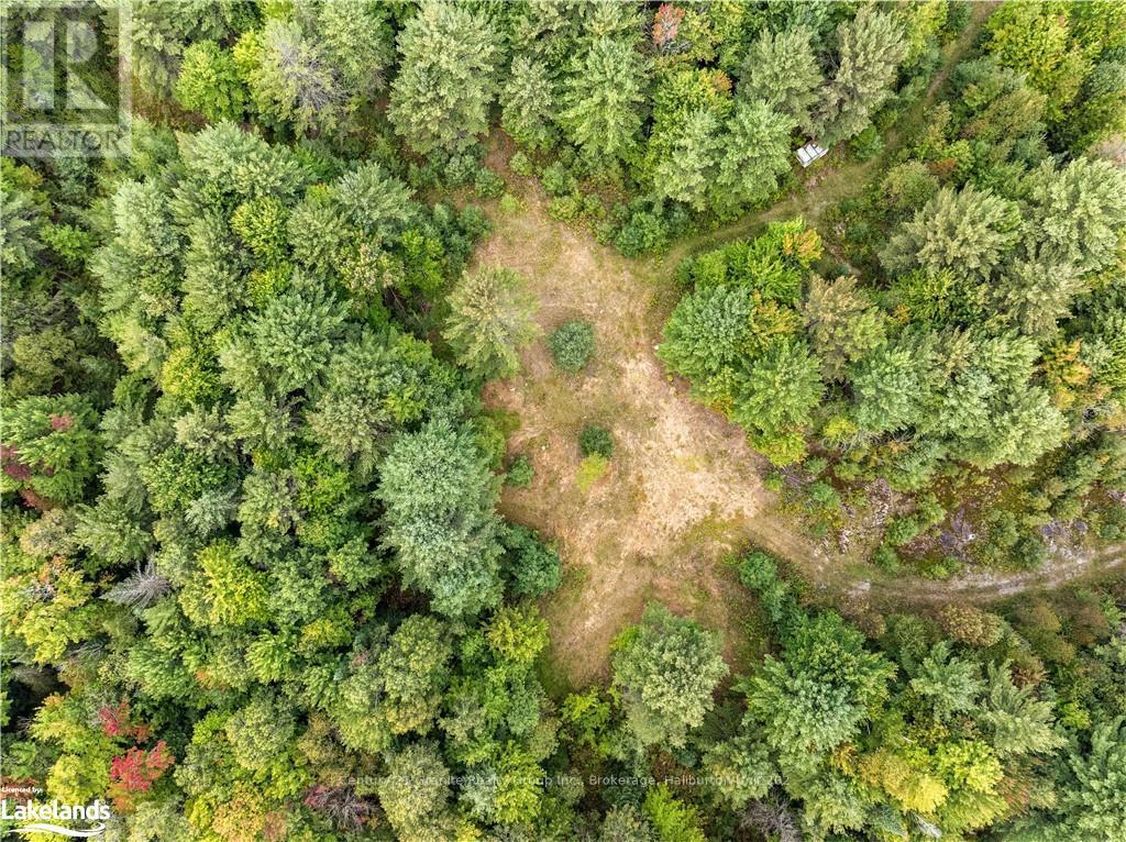 4729 County Road 121, Minden Hills, Ontario  K0M 2K0 - Photo 14 - X10895179