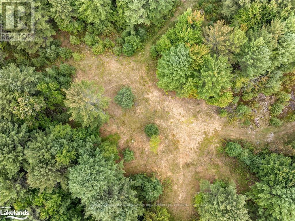 4729 County Road 121, Minden Hills, Ontario  K0M 2K0 - Photo 15 - X10895179