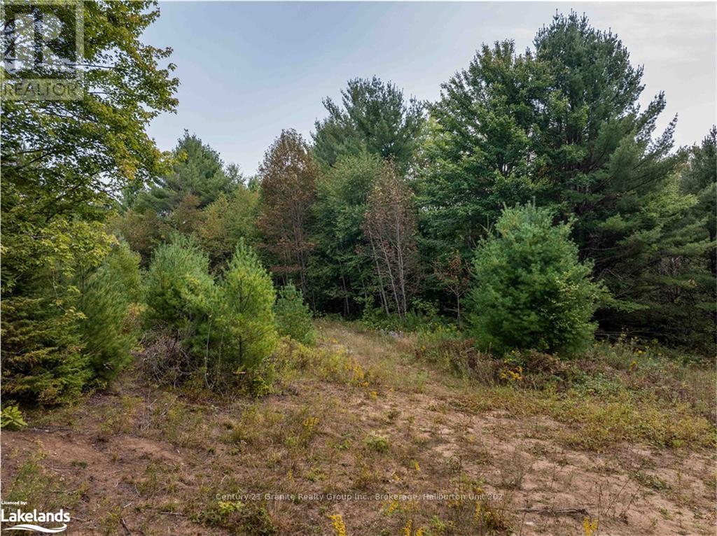 4729 County Road 121, Minden Hills, Ontario  K0M 2K0 - Photo 16 - X10895179