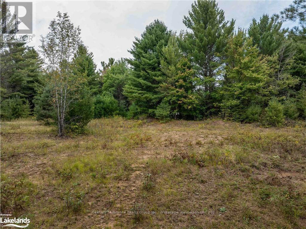 4729 County Road 121, Minden Hills, Ontario  K0M 2K0 - Photo 17 - X10895179