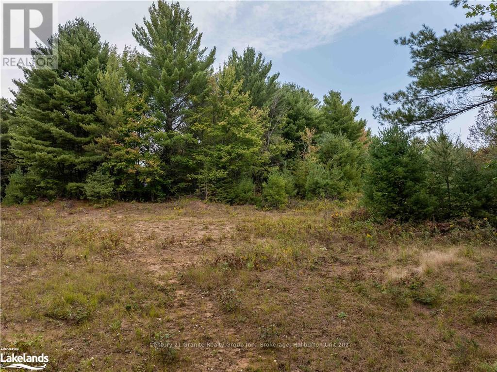 4729 County Road 121, Minden Hills, Ontario  K0M 2K0 - Photo 18 - X10895179