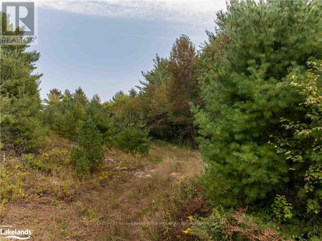 4729 County Road 121, Minden Hills, Ontario  K0M 2K0 - Photo 19 - X10895179