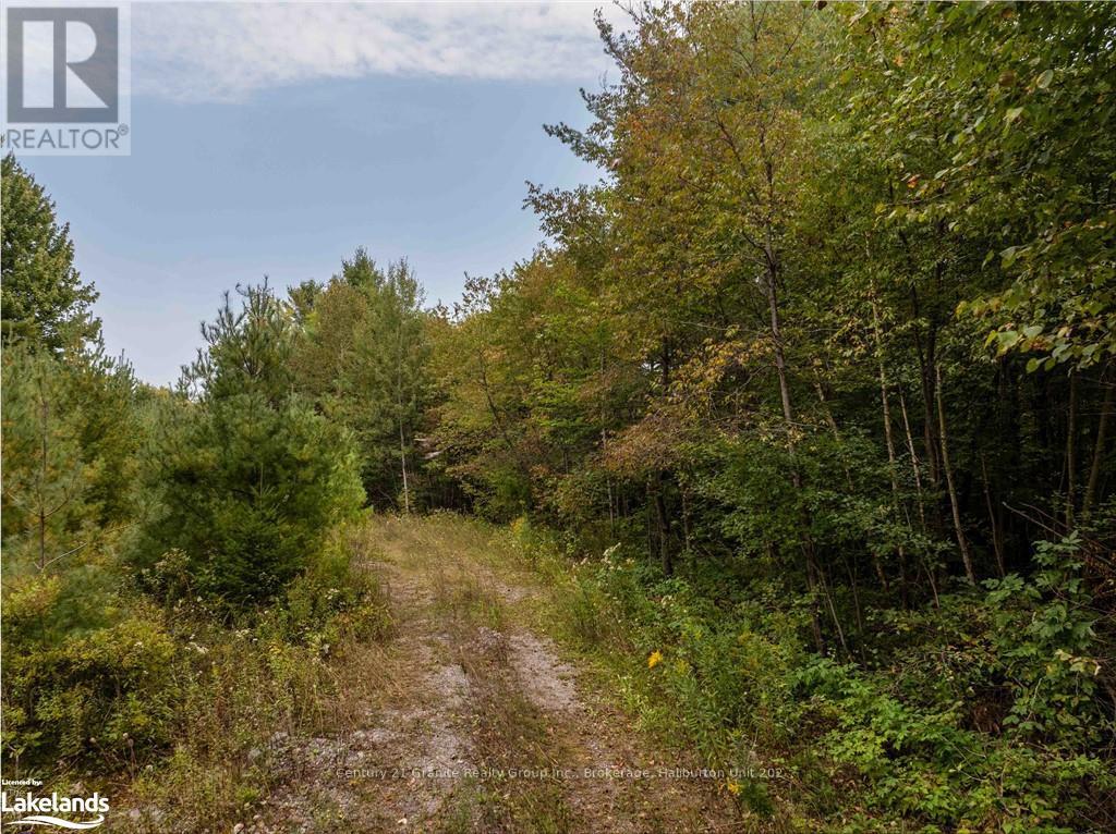 4729 County Road 121, Minden Hills, Ontario  K0M 2K0 - Photo 20 - X10895179