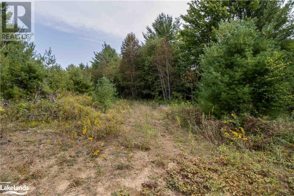 4729 County Road 121, Minden Hills, Ontario  K0M 2K0 - Photo 21 - X10895179