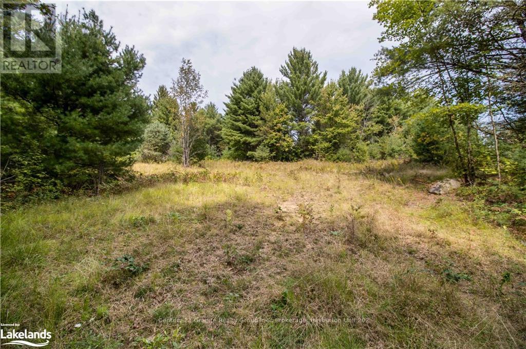 4729 County Road 121, Minden Hills, Ontario  K0M 2K0 - Photo 22 - X10895179