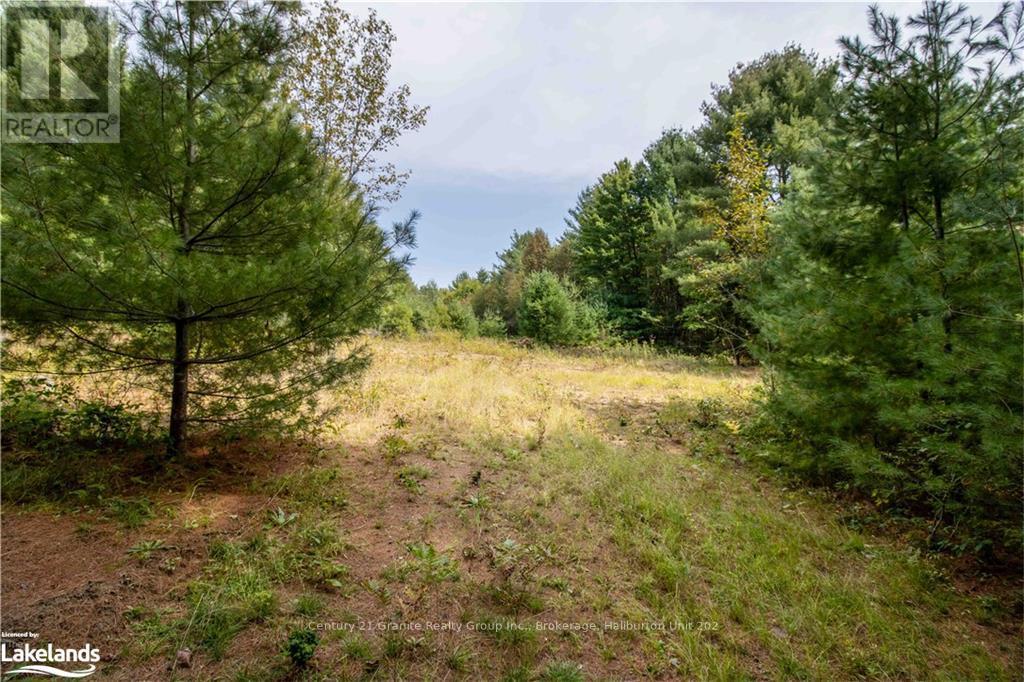 4729 County Road 121, Minden Hills, Ontario  K0M 2K0 - Photo 23 - X10895179