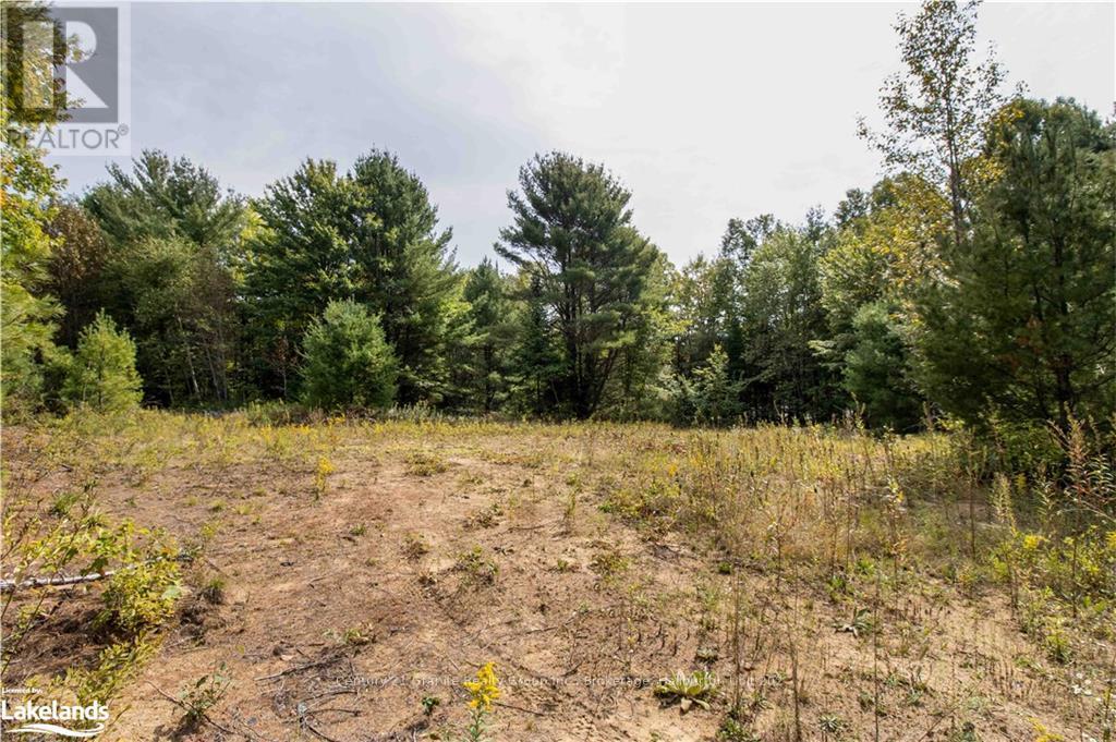 4729 County Road 121, Minden Hills, Ontario  K0M 2K0 - Photo 25 - X10895179