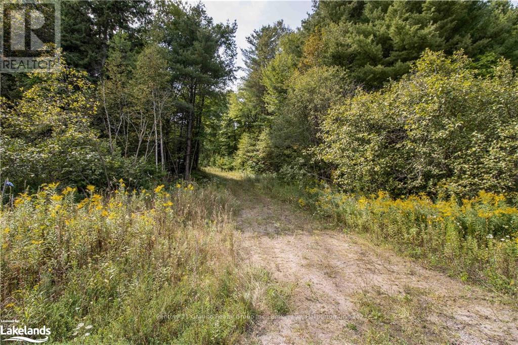 4729 County Road 121, Minden Hills, Ontario  K0M 2K0 - Photo 27 - X10895179