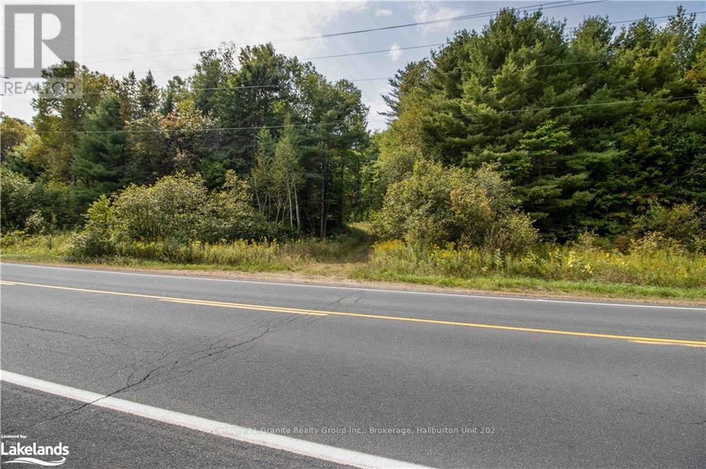 4729 County Road 121, Minden Hills, Ontario  K0M 2K0 - Photo 28 - X10895179