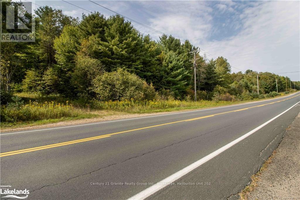 4729 County Road 121, Minden Hills, Ontario  K0M 2K0 - Photo 29 - X10895179