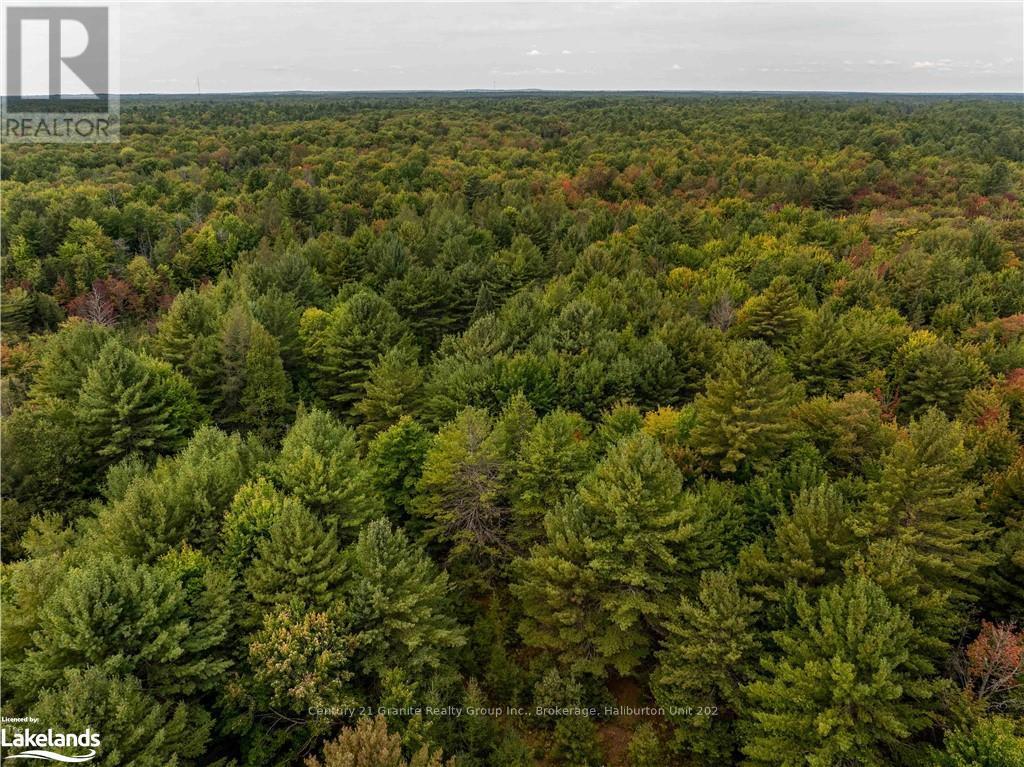 4729 County Road 121, Minden Hills, Ontario  K0M 2K0 - Photo 3 - X10895179