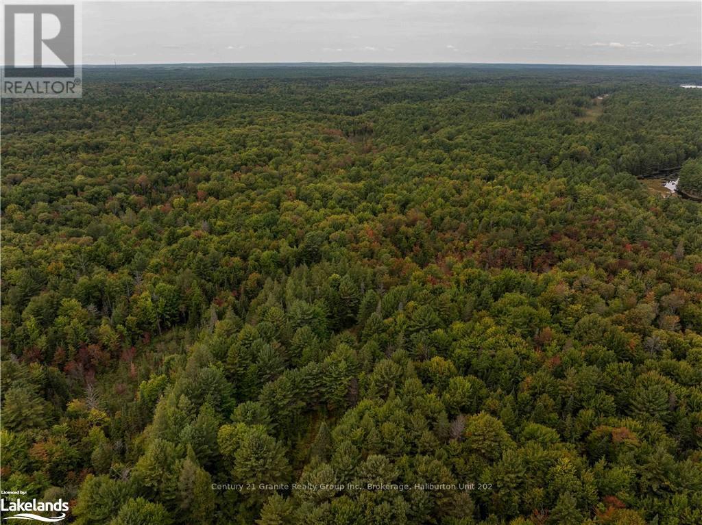 4729 County Road 121, Minden Hills, Ontario  K0M 2K0 - Photo 5 - X10895179