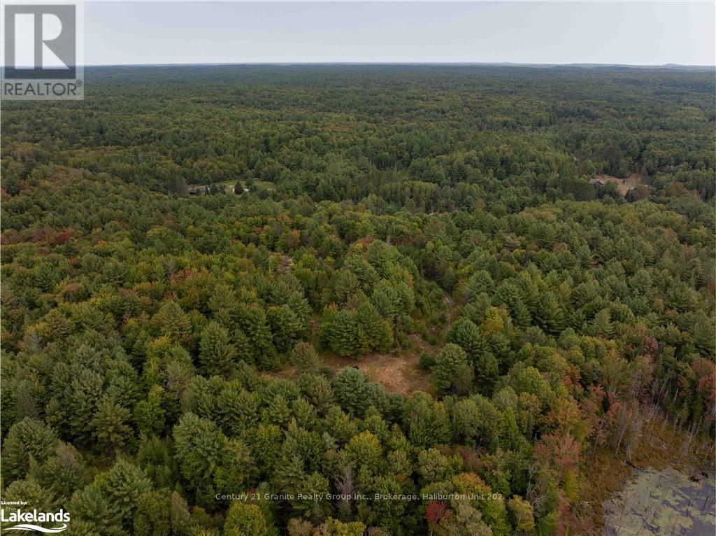 4729 County Road 121, Minden Hills, Ontario  K0M 2K0 - Photo 7 - X10895179