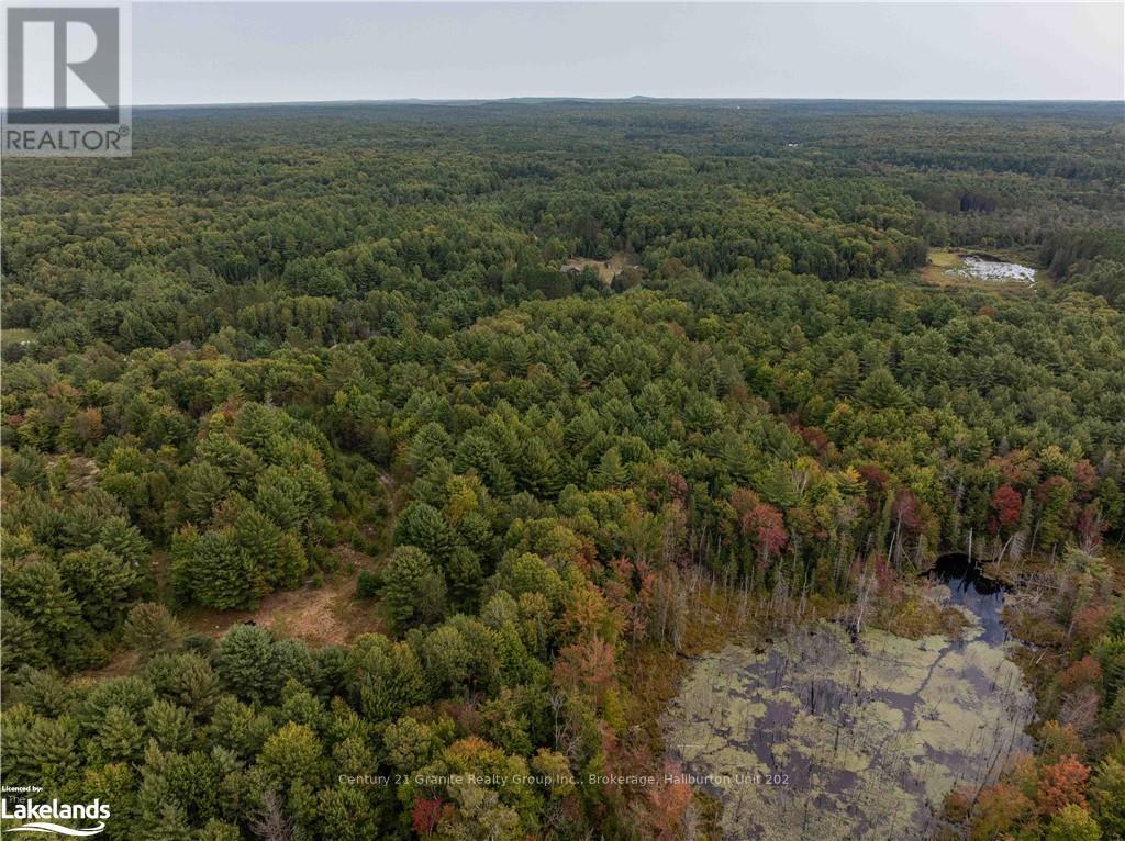 4729 County Road 121, Minden Hills, Ontario  K0M 2K0 - Photo 8 - X10895179