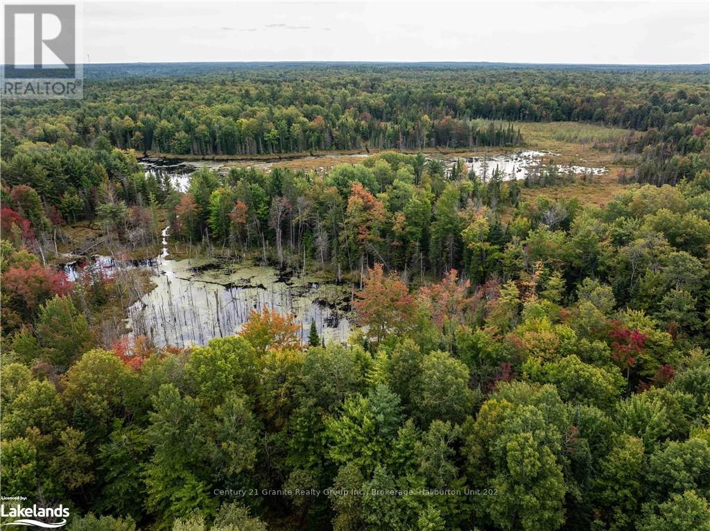 4729 County Road 121, Minden Hills, Ontario  K0M 2K0 - Photo 9 - X10895179