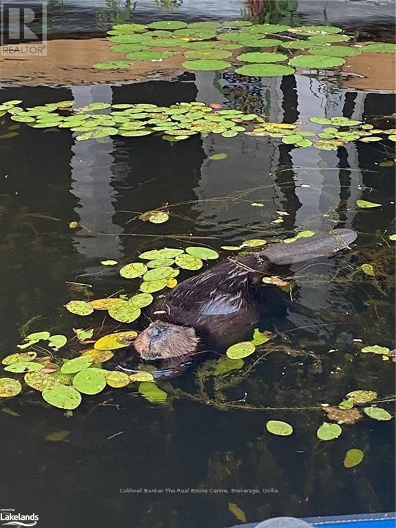 57 - 1209 Muskoka Beach Road, Gravenhurst, Ontario  P1P 1R1 - Photo 10 - X10895218