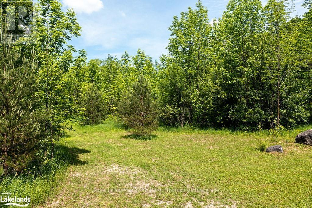 Part Lot 11-12 Sideroad 10, Chatsworth, Ontario  N0H 1R0 - Photo 18 - X10895279