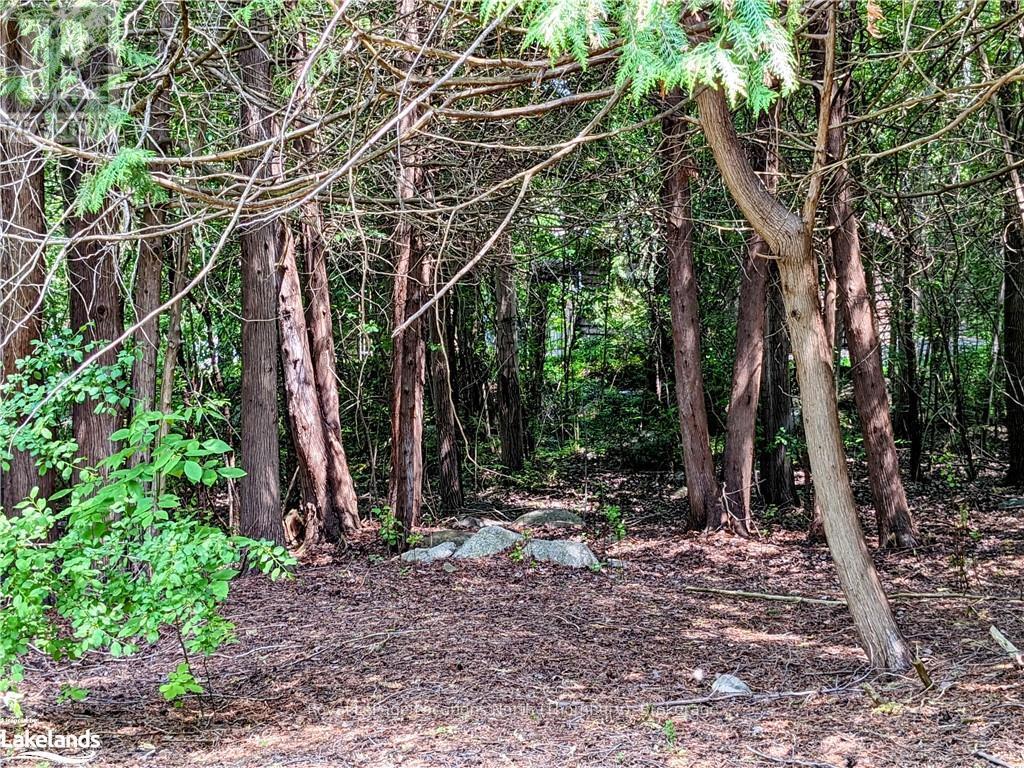 208658 Highway 26, Blue Mountains (Blue Mountain Resort Area), Ontario  N0H 1J0 - Photo 12 - X10895384